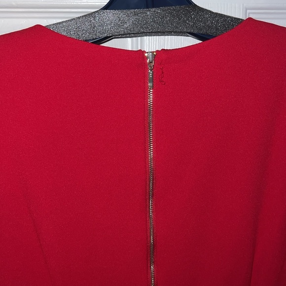 Red Dress - Picture 8 of 9